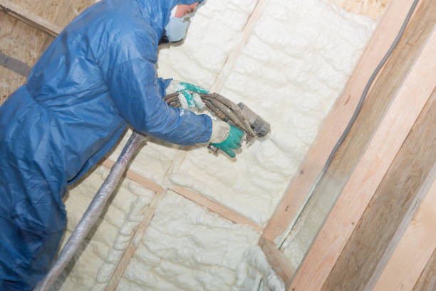 Professional Insulation in Ida Grove, IA